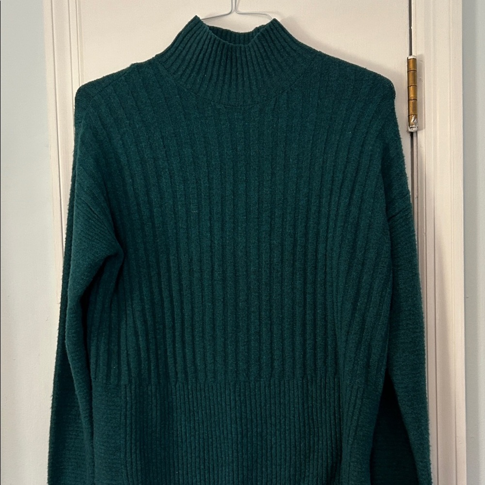 Time and Tru Dark Green Knit Sweater